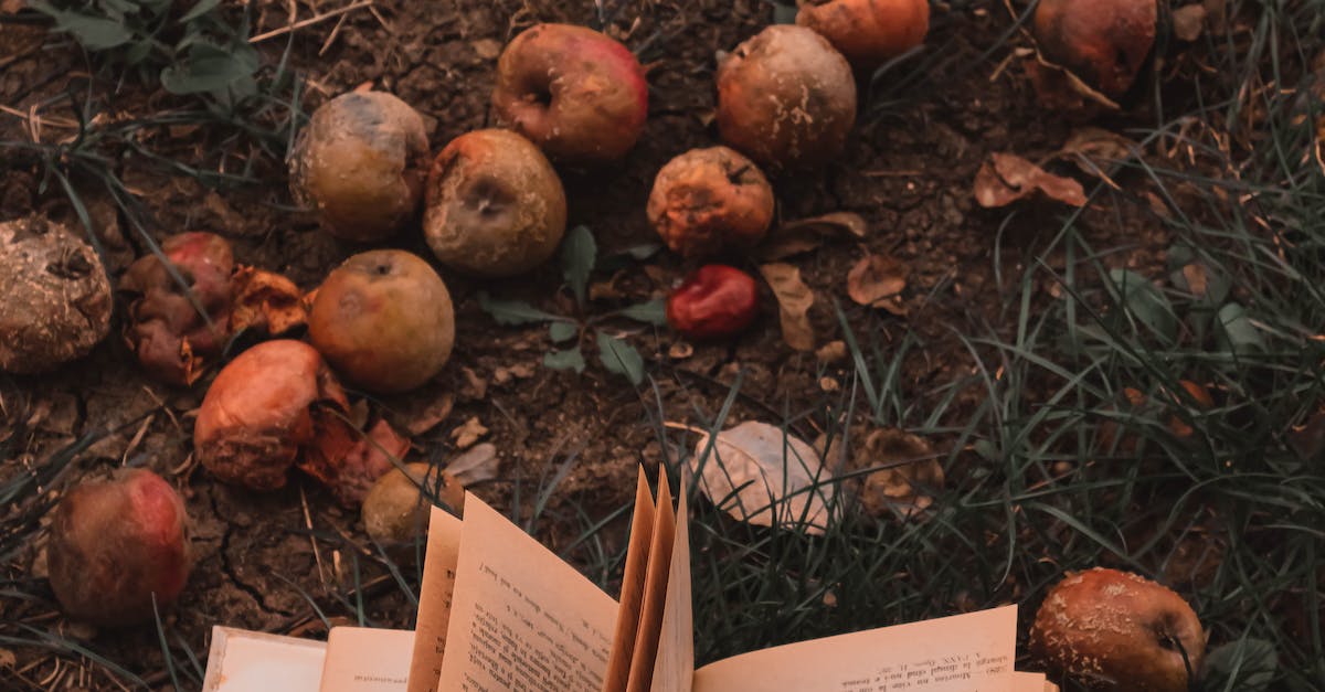 Open Book among Rotting Apples